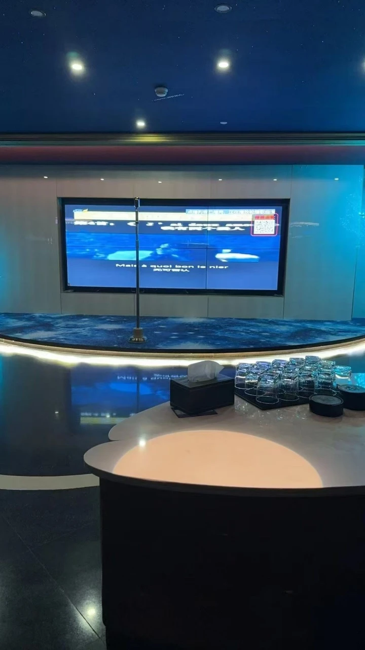 上海商务日式丽凰KTV夜景外观