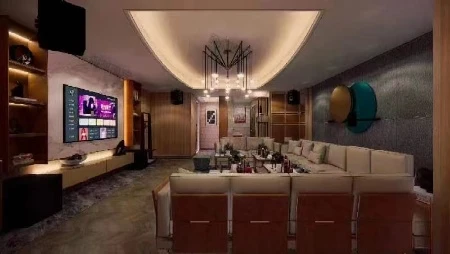 阜阳商务KTV甄空游戏场微醺滤镜