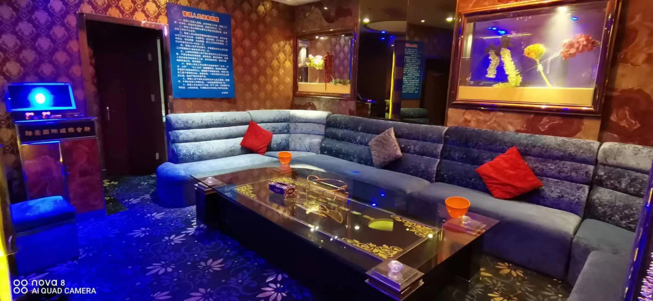 上海瑞豪国际商务KTV包厢内部奢华星空顶设计