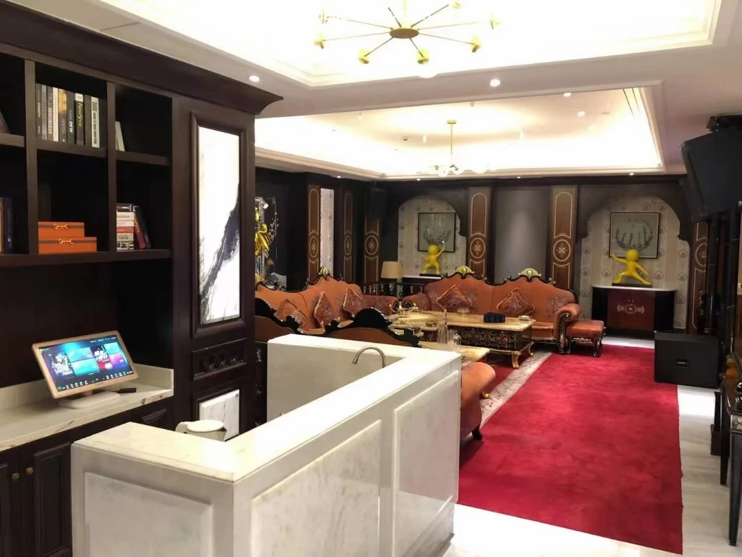 天津商务KTV金乐华包房夜色