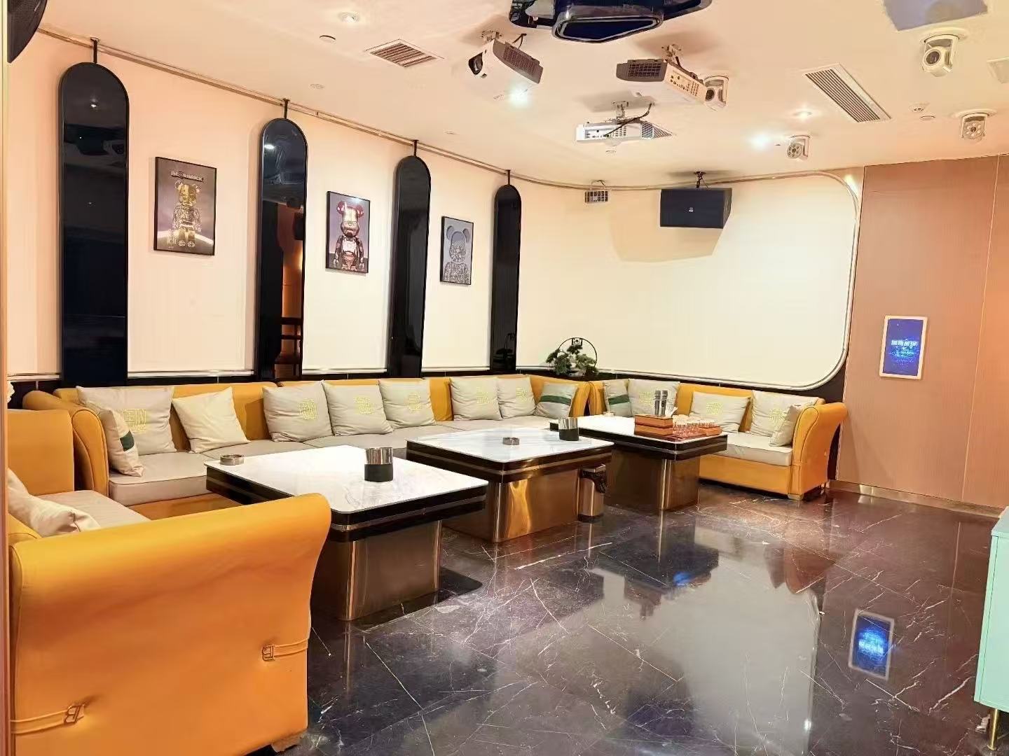 太原商务KTV鑫天地会客厅旗舰大包派对场景